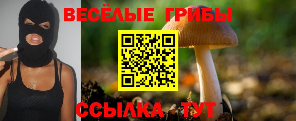 Галлюциногенные грибы Magic Shrooms Елизово